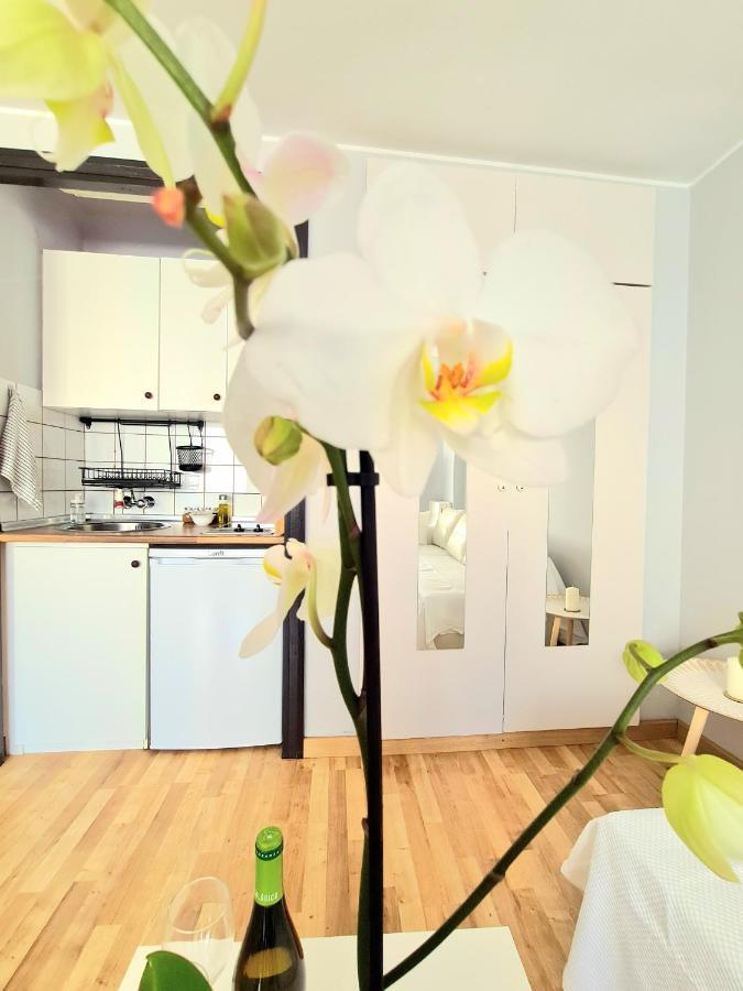 Aa Guest - El Mono De Torre Del Mar Eco Apartment Екстериор снимка