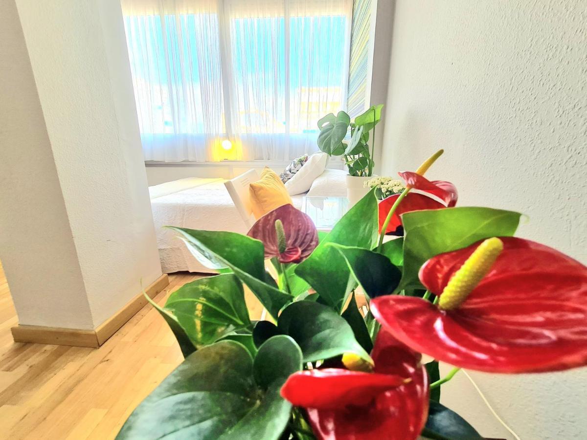 Aa Guest - El Mono De Torre Del Mar Eco Apartment Екстериор снимка